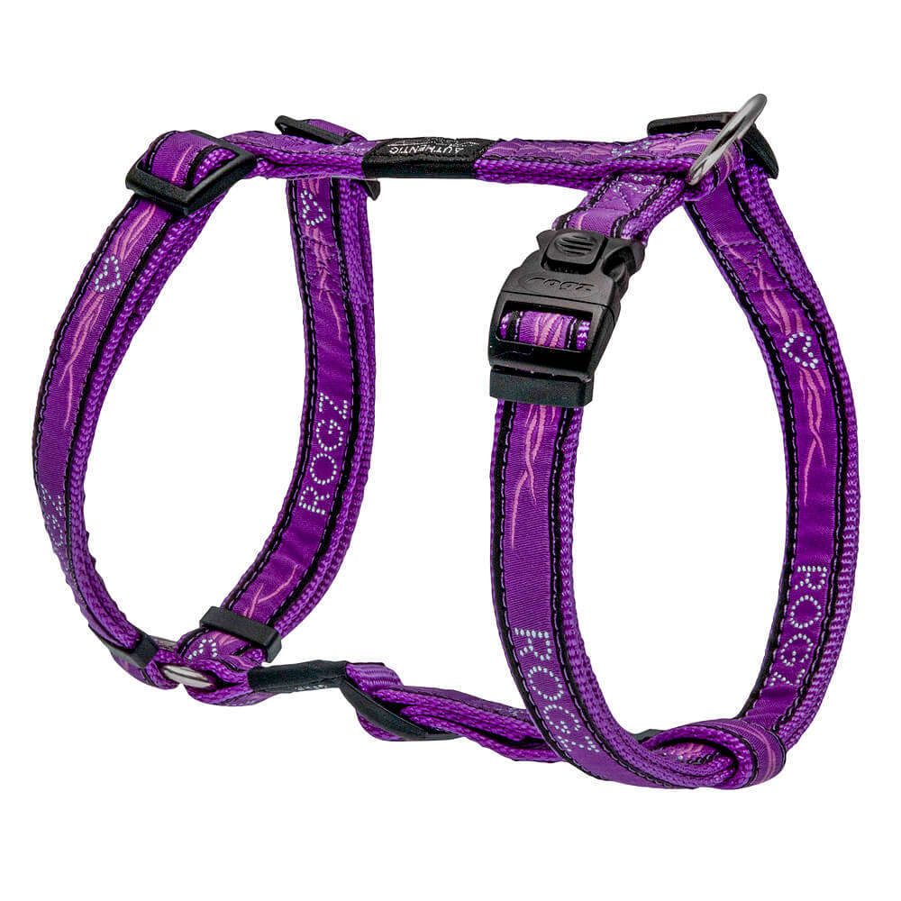 file rogz Hund Geschirr 'Jelly Bean' PurpleChrome S – Bild 1