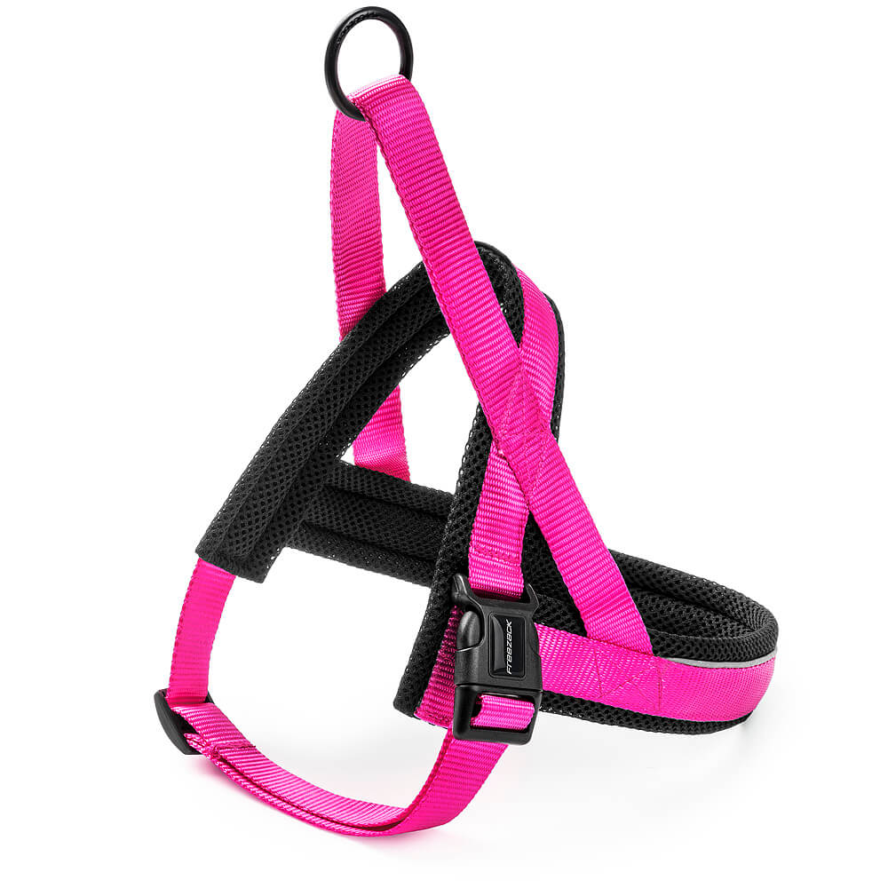 file Freezack Hund Geschirr 'Nordic Basic' pink XXS – Bild 1