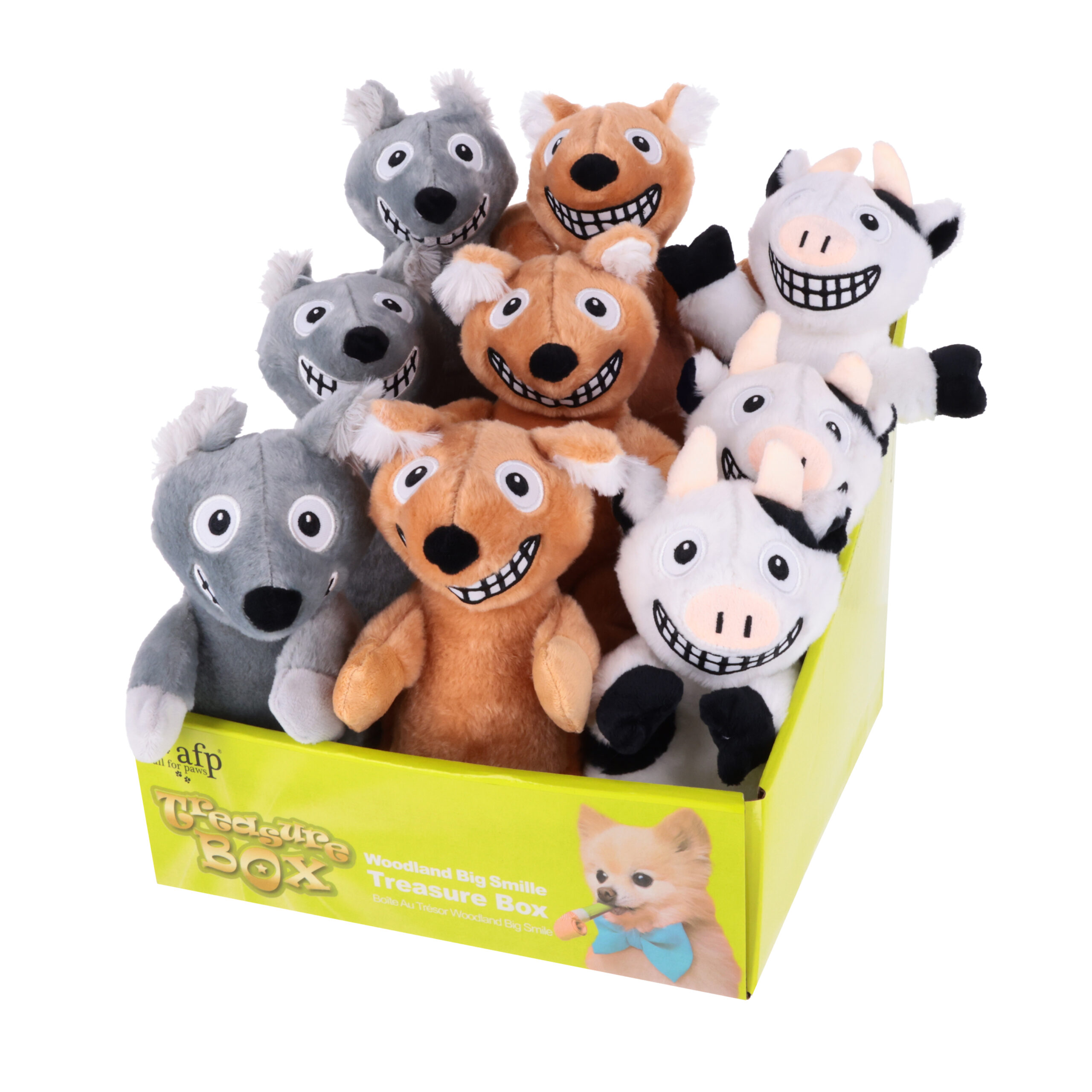 file All for Paws Hund Display 'Treasure Box Woodland Big Smile' – Bild 1