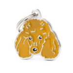 MyFamily Hund ID Tag 'Apricot Poodle' Apricot
